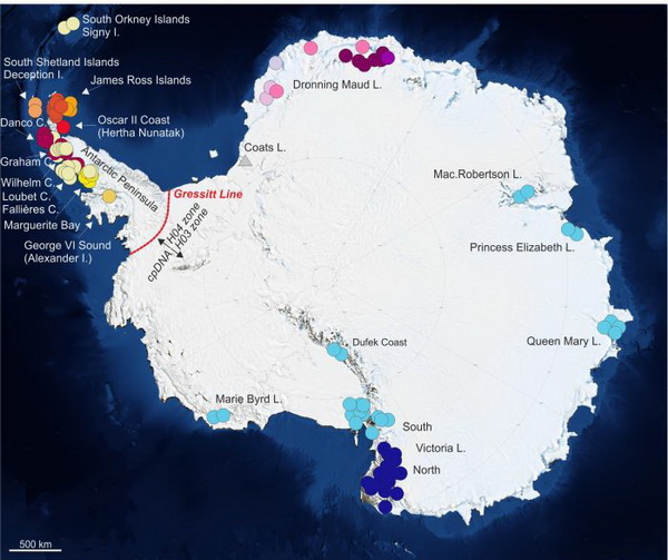 Źródło: dr Michał Ronikier
