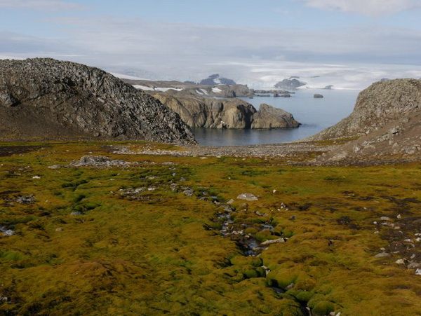 Źródło: dr Michał Ronikier