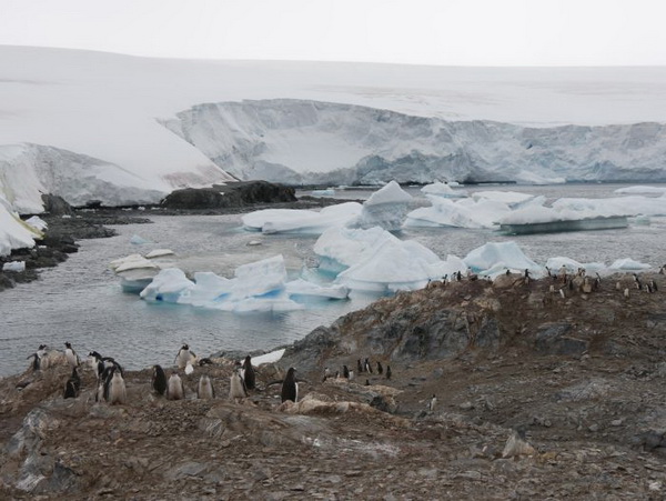 Źródło: dr Michał Ronikier