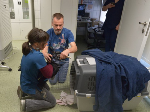 Fot. Uniwersytet Przyrodniczy we Wrocławiu