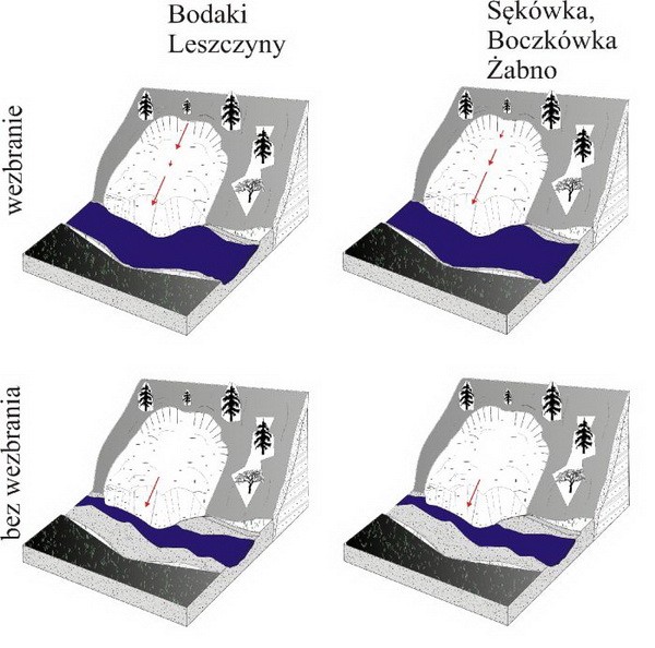 Fot. Jarosław Cebulski