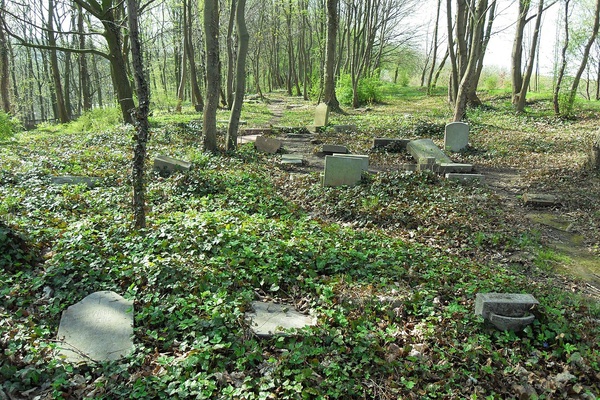 Pozostałości bezwyznaniowego cmentarza na szczycie Szubienicznej Góry