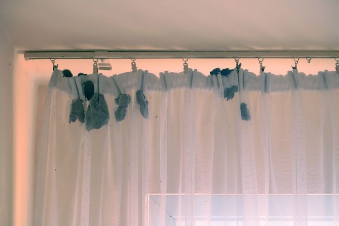 Grupa około 30 karlików spędza dzień w fałdach firanki na klatce schodowej. Źródło: PTOP Salamandra