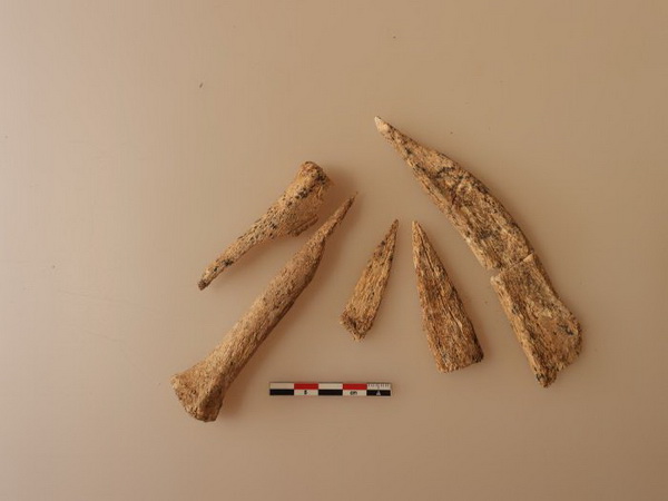 Zestaw kościanych narzędzi. Fot. M.Osypińska