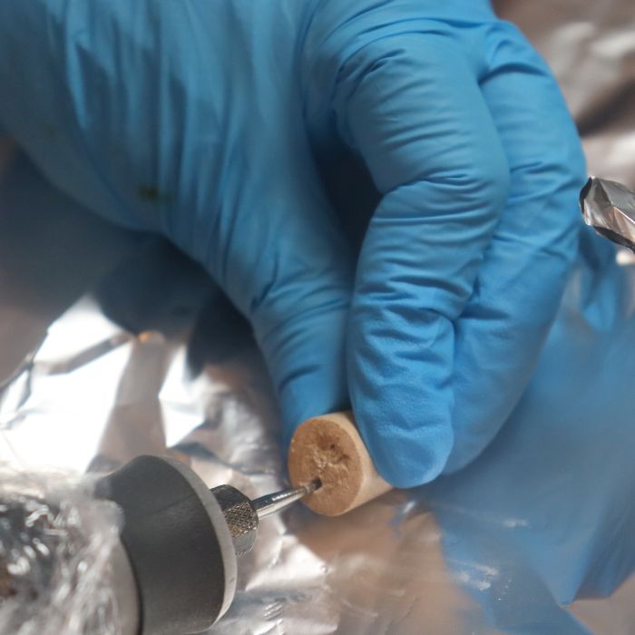 Fot. ze zbiorów Muzeum Zamkowego w Sandomierzu