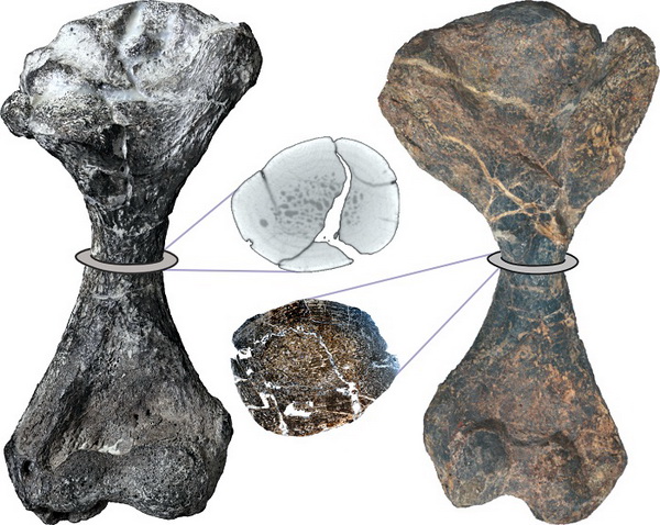 Źródło: Tomasz Szczygielski