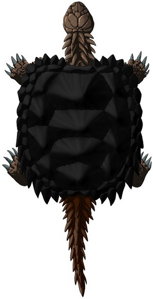 Proterochersis porebensis. Źródło: Tomasz Szczygielski