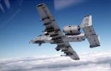 249fighters_a10_.jpg