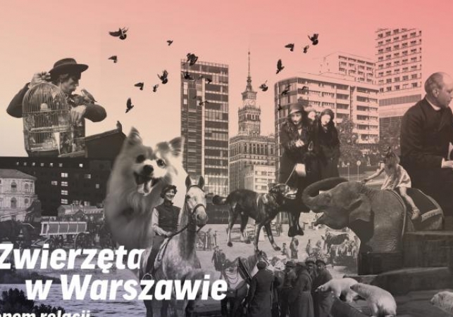 zwierzeta w warszawie