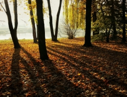 autumn-colours-city-park-79083_zmien rozmiary