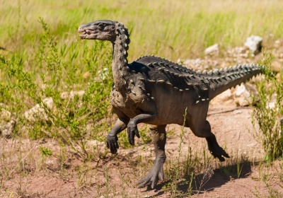 badania dinozaurów