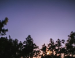 pexels-photo-4761916