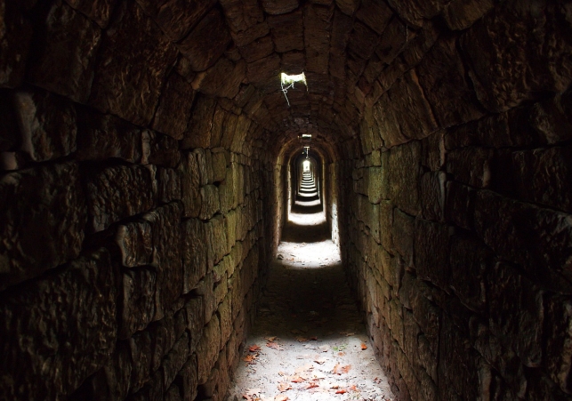 tunel pod palacem saskim