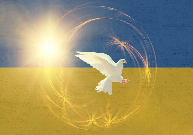 wojna na ukrainie