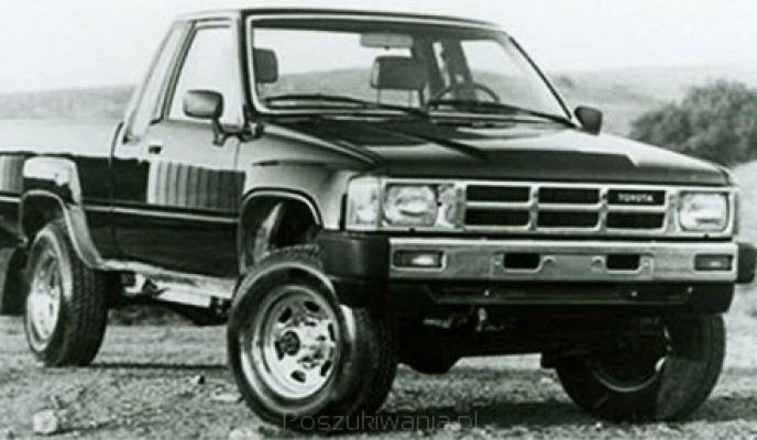 big_glownekonf_1156368427