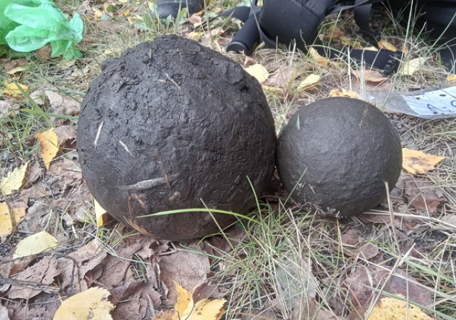 bitwa pod dubienka