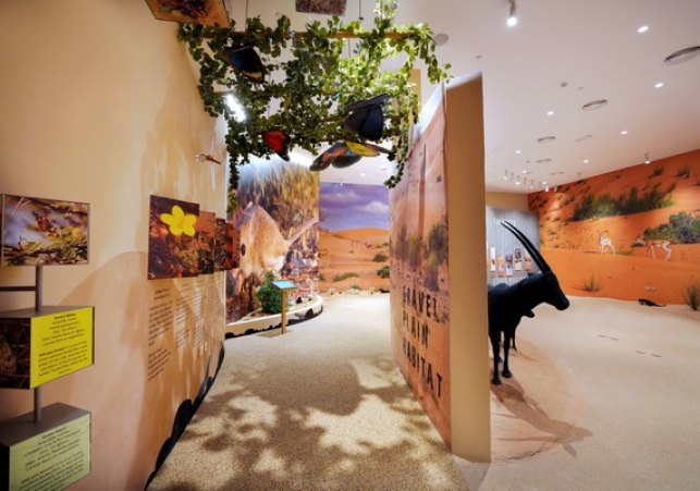 Pustynny Rezerwat Przyrody w Dubaju