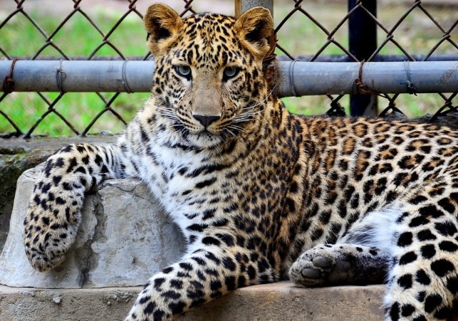 ogrod zoologiczny