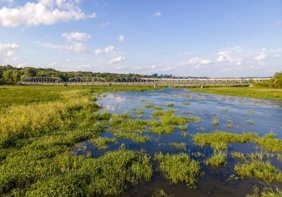 mokradla